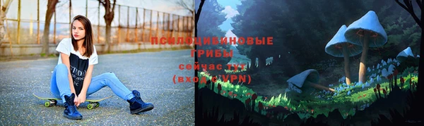 jwh Алзамай