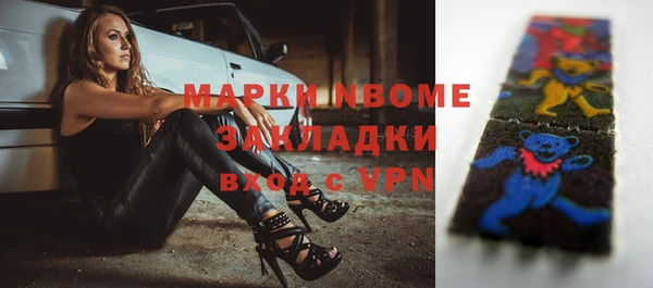стаф Алексин