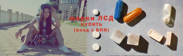 стаф Алексин