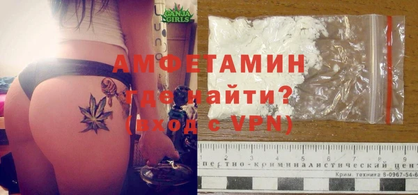 гидра Инсар